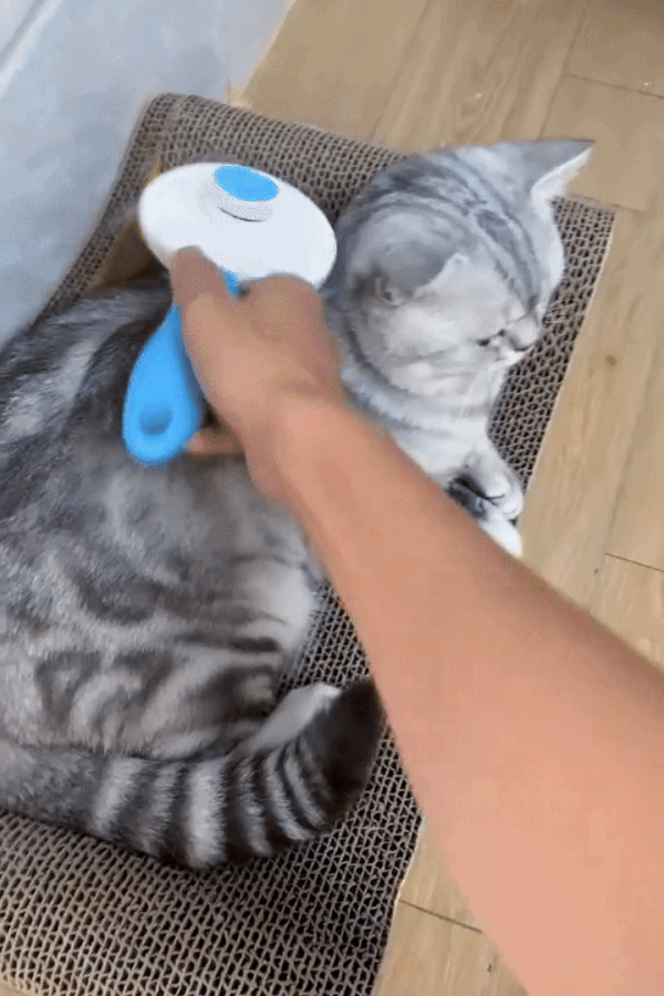 Pet Hair Cleaner Brush