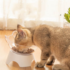 Cat & Dog Bowl