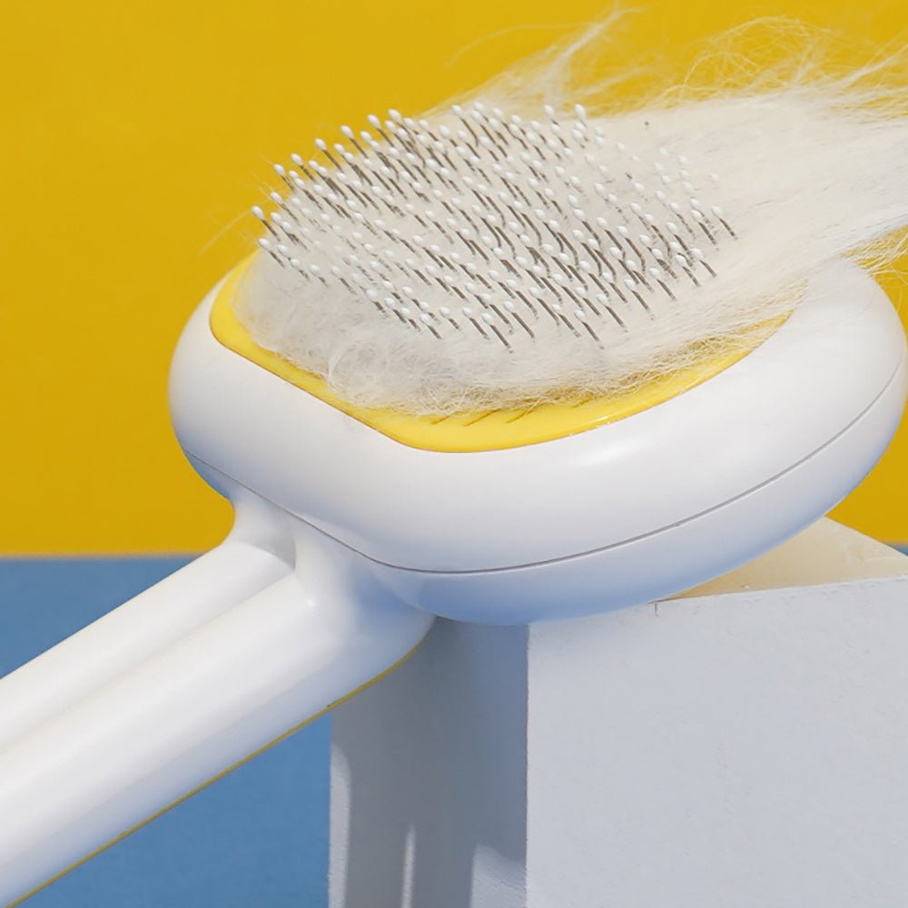 Pet Hair Cleaner Brush