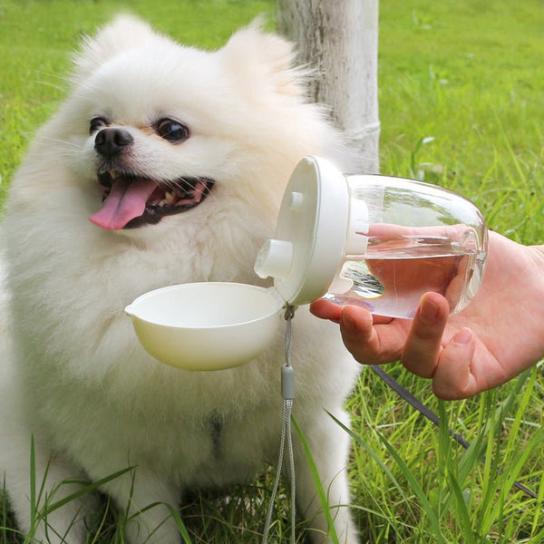 Foldable And Portable Pet Outdoor Drinking Glass