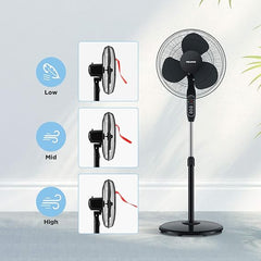 Pedestal Fan ©