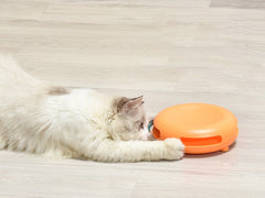 Pet Funny Cat Turntable