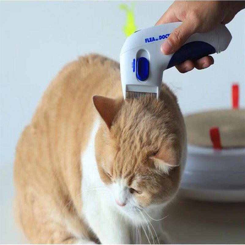 Pet Lice Remover