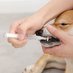 Teeth Repairing Kit For Dog