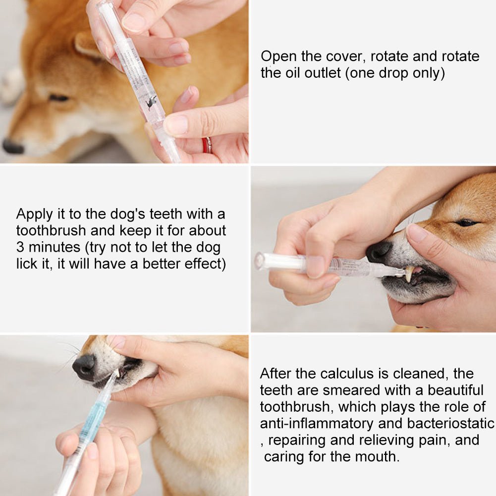 Teeth Repairing Kit For Dog